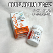 바이오가이아 프로텍티스 타블렛 두돌 아기 유산균으로 추천 비타민D 포함