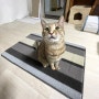 사막화방지, 올웨이즈올펫 고양이 화장실 모래매트 후기