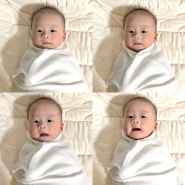 [육아 기록]100일 아기 하루 루틴(11-12시간 통잠, 수유량 및 수유텀, 새벽 수유 끊기, 앉는 연습, 광반사 재채기)