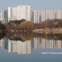 일산 호수공원의 아름다운 반영