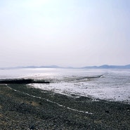 인천광역시 강화 갯벌 체험하기 좋은 동막해수욕장