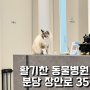 분당 장안로 성창빌딩 활기찬동물병원(고양이동물병원) 추천
