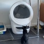 냥집사 생활의 질 500% 상승하는 강력 추천템 1-리터 로봇4 고양이 자동 청소 화장실