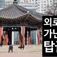 서울구경 2- 가난한 서울노인들의 탑골공원 -밥과 우정