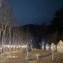 광주 :: 남한산성 카페 “코코밸리” 분위기 좋은 실내외공간 (+반려동물 동반가능, 목욕시설)