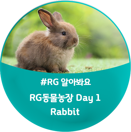 영어 반점 토끼