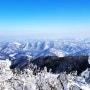 강원도 평창 여행 발왕산 케이블카 상고대 눈꽃이 반발했던 트래킹