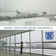 서울대학교 그린에코공학연구소 설경 속에서 영화 찍은 날