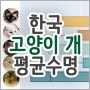 한국 고양이 개(강아지) 수명(우리나라 반려동물 평균수명)_데이터랩 콘텐츠 제공