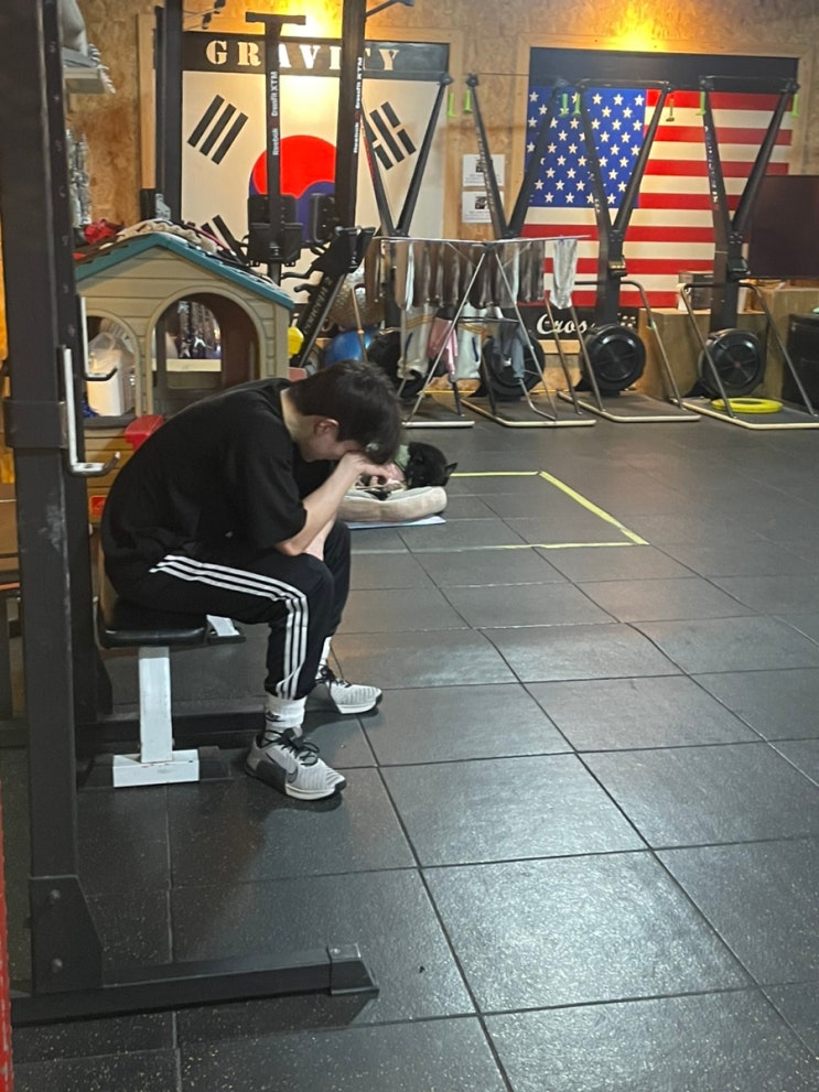 Fabric Colour Price Single Under 100