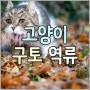 고양이 구토(역류) 원인 증상 치료. 구토 색깔. 헤어볼 사료토하는 이유와 관리 Vomiting in Cats