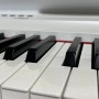 야마하 전자피아노 P125WH 리뷰 (2022년에 충동구매)