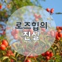 광고 촬영하면서 알게 된 들장미 열매 로즈힙의 진실, 슈퍼푸드 로즈힙퓨레