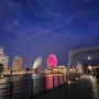 [도쿄여행 4일차] 요코하마, 벽돌창고, 에어 캐빈, 빨간구두 투어버스, 사쿠라기초역