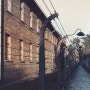 폴란드 아우슈비츠 비디오 오디오 가이드 : 아우슈비츠 수용소 투어(Auschwitz Guide Tour)