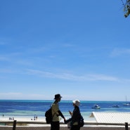 2024 호주를 다녀왔다 10 로트네스트 섬에서 쿼카를 만나다