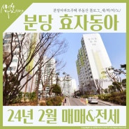 분당 서현동 아파트 매매(급매) & 전세_효자동아 24년 2월 시세현황