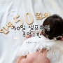 아기50일사진 추억 소환 셀프 신생아 50일촬영 에피소드