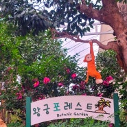 전북 익산 아이와 놀러 갈만한곳 왕궁포레스트 식물원