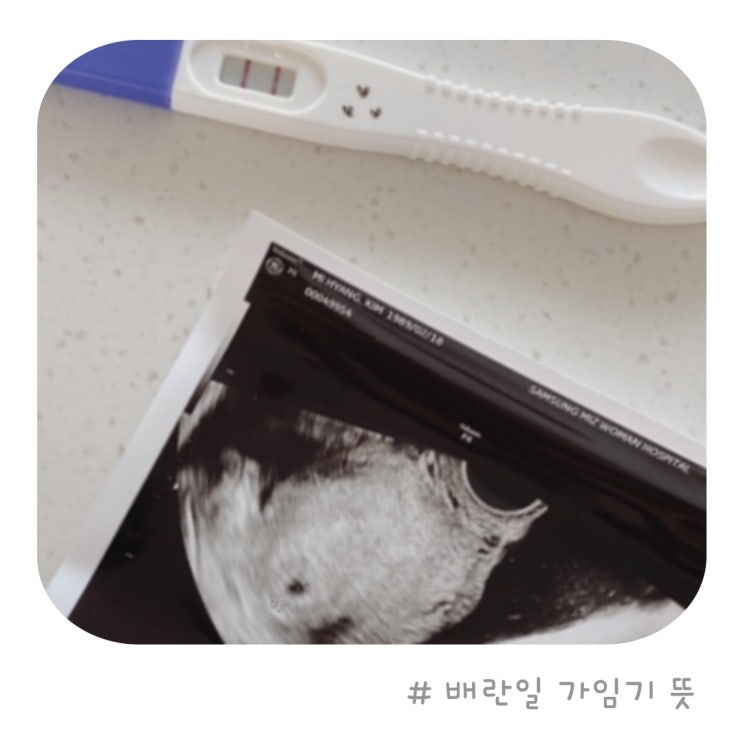 가임기 배란기 뜻 계산법 증상 체온 임신확률 알아보기 : 네이버 블로그