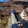 일본여행 기요미즈데라 청수사 다녀왔어요