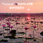 [태국우돈타니]여행 붉은연꽃호수/무조건 가야하는 태국여행 필수코스