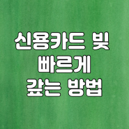 신용카드 빚 빨리 갚는 방법, 어떤거부터 갚아야할까?