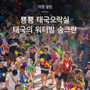 태국 방콕 여행 2024 송크란 축제 제대로 즐기는 법 (기간, 준비물, 가는법)