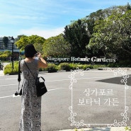 [친구 따라 싱가포르] 도심 속의 정원, 싱가포르 보타닉 가든