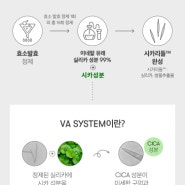 [화장품]리들샷 100