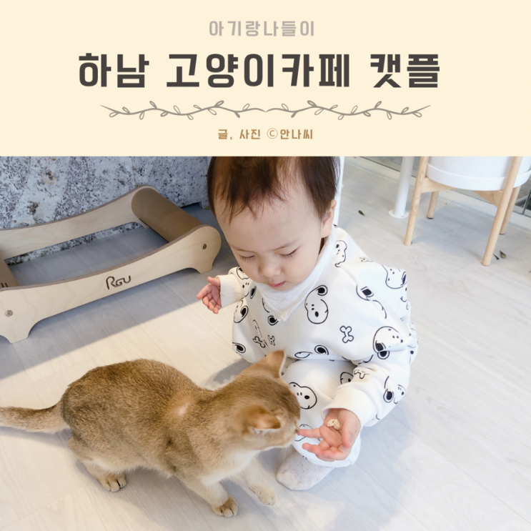 서울근교 갈만한곳 아기랑 고양이카페 캣플 주차 가격 시설