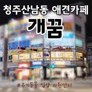 아이들과 주말나들이, 청주 산남동 강아지카페 '개꿈'에 다녀왔어요!