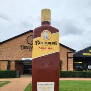 [Bundaberg Rum Distillery/번다 버그 럼 양조장] 호주 로드트립, 럼 증류주 공장_번다 버그 가 볼 만한 곳