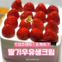 [투썸] 투썸플레이스 딸기우유 생크림 | 홀케이크 추천 | 내돈내산 후기