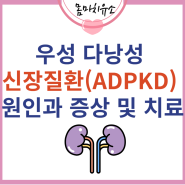 우성 다낭성 신장질환(ADPKD) 원인과 증상 및 치료
