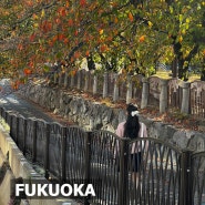 후쿠오카여행 마지막 날(텐진중앙공원, 기념품 리스트 산토리위스키, 돈키호테 면세금액)