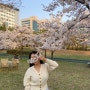 경기도 벚꽃 명소 리스트 + 황새울공원 피크닉