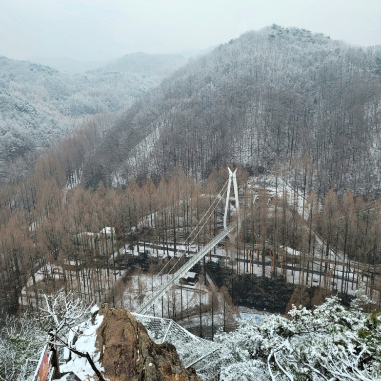 대전 가볼만한곳 겨울 장태산 자연휴양림 전망대 주차장