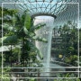 [싱가포르 여행] 싱가포르 창이공항 4터미널 면세점 필수 쇼핑 리스트 (바샤커피,뱅가완솔로,찰스앤키스,TWG)
