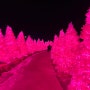 허브아일랜드 핑크 모래 스카이 허브팜 핑크샌드보드, 핑크 반딧불, 핑크트리 기찻길