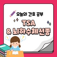 오늘의 간호 공부 / pituitary galnd adenoma, TSA