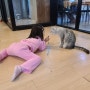평택 고양이카페 아이랑 삼층고양이카페 후기