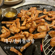 일산서구 돼지막창 맛집 : 대구반야월막창(주차, 메뉴, 생막창)