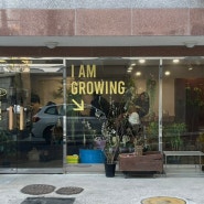 [서울/군자] 분즈(Boonz) :: 드레스코드가 있는 식물 마켓