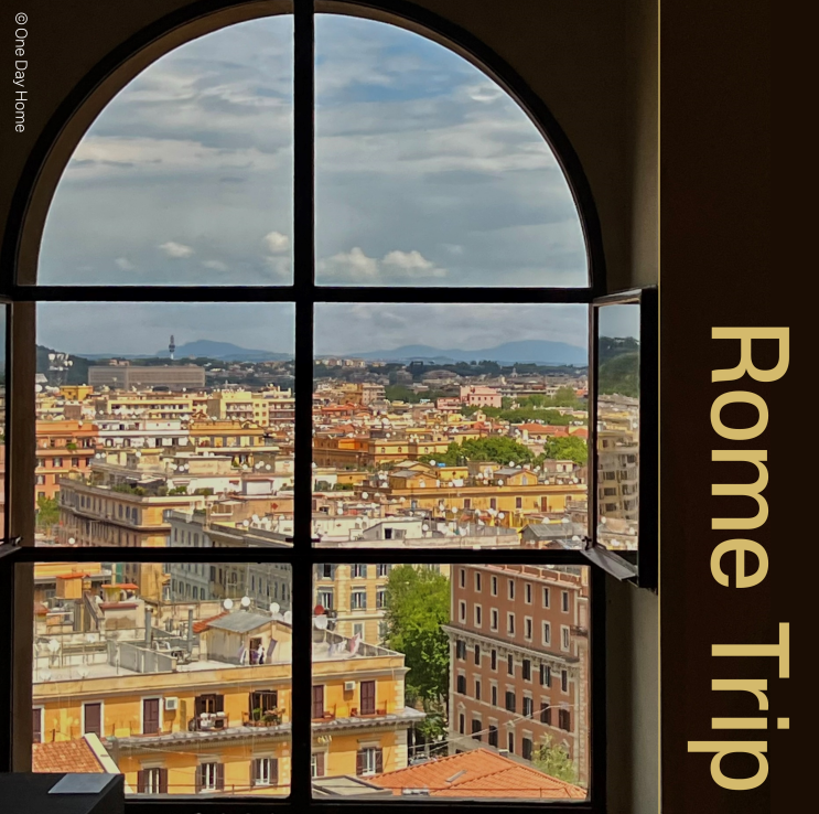 [이탈리아 day 1~2] 5월 로마 여행, 떼르미니역 호텔 the radical hotel rome, 마이리얼트립 바티칸 투어 ...