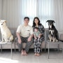 오드스튜디오 - 출장 부산홈스냅 광안리 아기 & 반려동물 가족사진