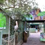 호주 시드니 여행 페더데일 동물원 (ft. 입장권 할인 예매)
