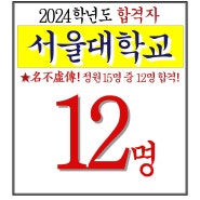2024학년도 서울대 동양화과 합격자 명단