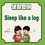 생활영어 Sleep like a log