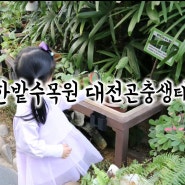 대전 아이랑 가볼만한곳 한밭수목원 곤충보는 대전곤충생태관 3번이상 방문했음
